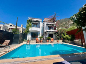 Villa Kirlangic located in Kalkan